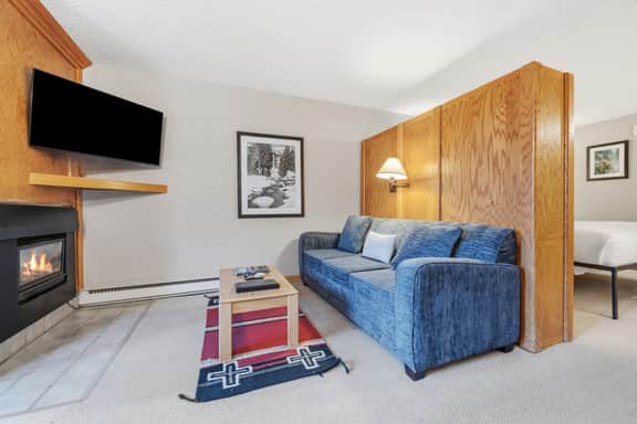 Dog Friendly Vail Lionshead Studio, LH Studio - Image 5