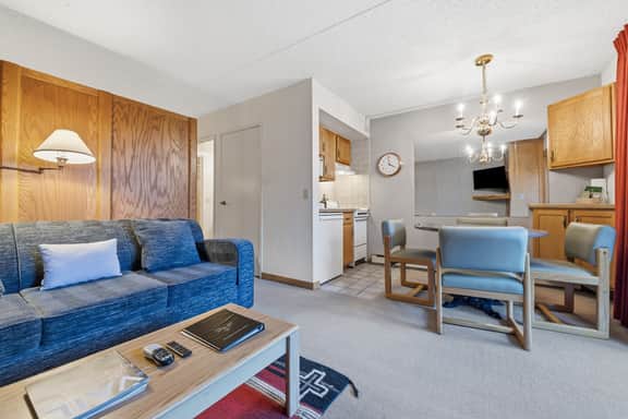 Lionshead Village View, Studio condo, Steps to Lionshead Gondola, - Image 4